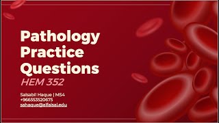 Pathology HemeOnc Practice Questions  Salsabil Haque  HEME 352 [upl. by Elleynad8]