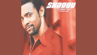 Shaggy feat RikRok  It Wasnt Me Instrumental with Backing Vocals [upl. by Denver376]