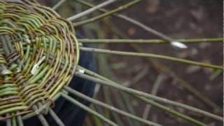 Willow Basketry [upl. by Chauncey]