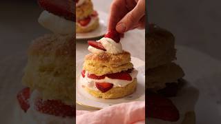 Make the Perfect Strawberry Shortcakes [upl. by Rebeca]