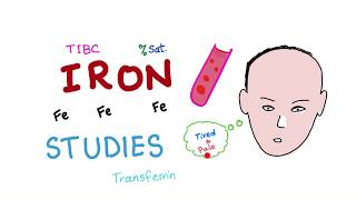 Iron Studies  Serum Fe TIBC ferritin amp Transferrin  Saturation [upl. by Estis]