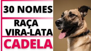 NOMES PARA CACHORRO FÊMEA DA RAÇA VIRA  LATA [upl. by Diraj290]