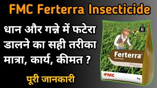 Fmc Ferterra Insecticide  फटेरा कीटनाशक को धान और गन्ने की फसल में डालें Use For Paddy amp Sugarcane [upl. by Anne-Corinne]