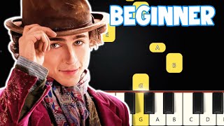 Pure Imagination  Wonka  Beginner Piano Tutorial  Easy Piano [upl. by Jaeger]