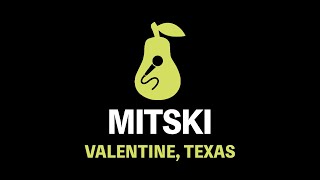 Mitski  Valentine Texas Karaoke [upl. by Greenwell]