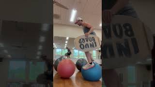 Person Performs Balancing Tricks on Gym Balls and Balance Board  1430043 [upl. by Ainoet]