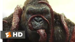 Kong Skull Island 2017  Kong vs Giant Squid Scene 310  Movieclips [upl. by Lirbaj]