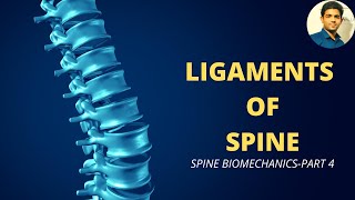 LIGAMENTS OF SPINE  SPINE BIOMECHANICS Part 4 [upl. by Sesiom]