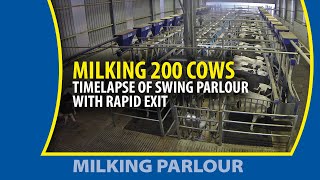 Timelapse Milking 200 cows  with the fast exit milking parlour [upl. by Yelmene872]