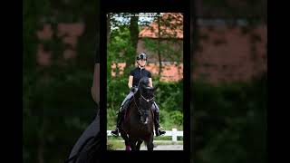 Dressage power 💪💖 subscribe horse equestrain dressage blowup [upl. by Atikram]