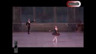 Don Quijote PD Tamara Rojo Steven McRae [upl. by Ruenhcs]