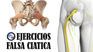 Los 3 mejores ejercicios para tratar el sindrome del piramidal o falsa ciatica [upl. by Adnarb736]