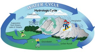 The water hydrologic cycle [upl. by Jacobsen598]