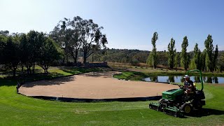 Its Looking Pure at Day 25  The Bentgrass Has Germinated [upl. by Atikahc]