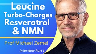 Leucine Amplifies The Effects Of Resveratrol amp NMN  Prof Michael Zemel Ep 1 [upl. by Neltiak]