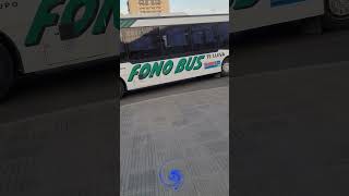 FONO BUS [upl. by Karissa516]