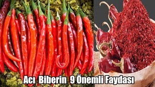 Acı Biberin Faydaları Ve Zararları [upl. by Norrie]