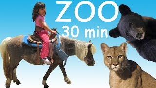 ZOO Petting ZOO Feeding Animals Learn Animals Names Long Video for Kids [upl. by Odraude]