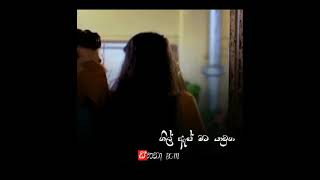 Widuli Kotai  Mal Pipena kale Teledrama Theme song  AK Twins  Poorna Sachintha  Lyrics Video [upl. by Fosdick]