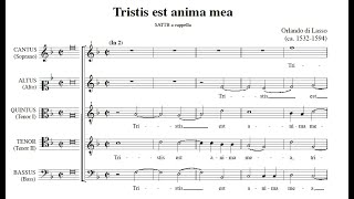 Lasso  Tristis est anima mea Score Video [upl. by Concettina606]