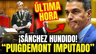 💥ÚLTIMA HORA ¡La AUDIENCIA NACIONAL CANCELA la LEY de AMNISTÍA a PUIGDEMONT SÁNCHEZ HUNDIDO [upl. by Tedmund744]