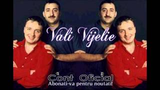 COSTI IONITA amp VALI VIJELIE amp ADRIAN MINUNE  OF OF OF MOR TOTI TIGANII OFFICIAL TRACK [upl. by Mic890]