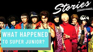 Super Junior What happened to their members [upl. by Hiamerej]