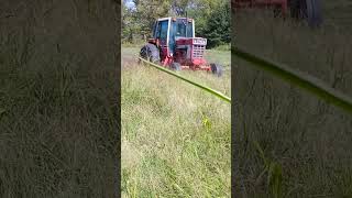 Late 1970s IH 1586 Tractor mows hay with Disc Mower Cow Feed [upl. by Ennaeiluj]