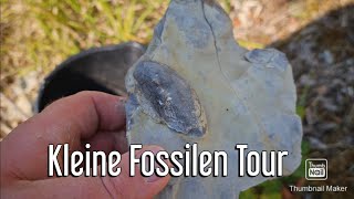 Kleine Fossilien Tour Muscheln Suchen folge 39 fossi outdoors outdoor [upl. by Boff687]