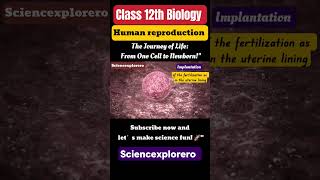 Part 1  Human reproduction class 12 Biology chapter 3ncert neet cbse sciencexplorero [upl. by Tav]