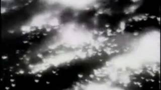 1945 Dresden Bombing Newsreel [upl. by Aihsia]