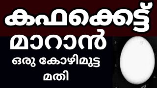 ഒരു കോഴി മുട്ട മതി കഫക്കെട്ടിൻ്റെ അടിവേരിളക്കാൻ  Natural Home Remedy for Cough  Cough Treatment [upl. by Enelrats]