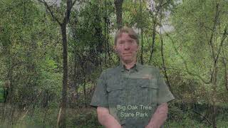 Big Oak Tree State Park public meeting  2024 [upl. by Blase]