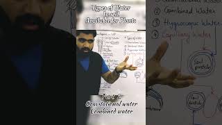 Types of water in Soil  Part 2  Gravitational and Combined Water science biology watertypes [upl. by Ylliw]