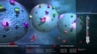 Principles of Chromatography by Tosoh Bioscience [upl. by Ongun]