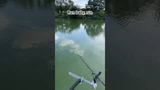 Method feeder fishing methodfeeder aventuripescaresti carpfishing [upl. by Herm]