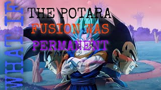 What If The Potara Fusion Was Permanent Pt1 [upl. by Niuqaoj806]