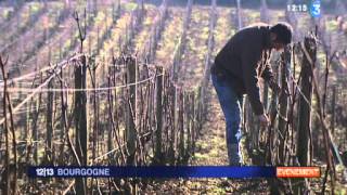 Domaine Ramonet à CHASSAGNEMONTRACHET [upl. by Farrish]