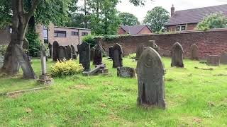 Graveyard and Ragwort Lore Summer Vlog [upl. by Xirdnek]