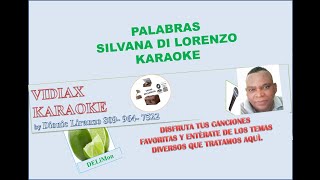 Silvana Di Lorenzo Palabras karaoke [upl. by Airrotal]