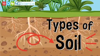 Types of Soil [upl. by Adniuqal]