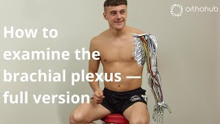 How to examine the brachial plexus  full version — watch orthohub examinations with Tom Quick [upl. by Lipkin]