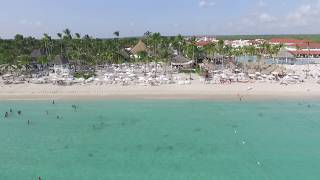 Bayahibe Dominicus Beach  Catalonia and Iberostar Resort DR [upl. by Madelina]