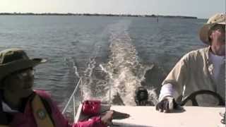 Lightweight 27 Power Catamaran With 10 hp Engine [upl. by Trixie]