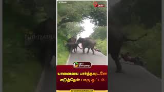 யானையை பார்த்தவுடனே எடுத்தேன் பாரு ஓட்டம்  nilgiris  elephant  shorts [upl. by Auehsoj384]