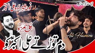 Dam Torte Akbar As Ko  Noha Shahzada Ali Akbar as  Ali Hamza Live Noha  Amin Pur Bazar [upl. by Esil704]