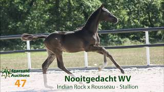 47 Nooitgedacht WV Indian Rock x Rousseau [upl. by Neicul]