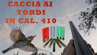 CACCIA AI TORDI IN CAL 410 [upl. by Eillat]