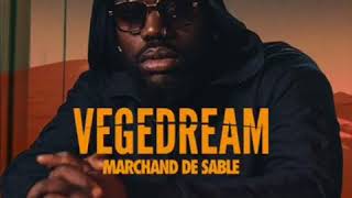 Vegedream  Tout Casser  Feat H Magnum [upl. by Laerol]