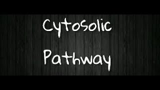 Cytosolic pathway [upl. by Leroy]